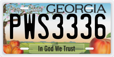 GA license plate PWS3336