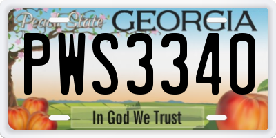 GA license plate PWS3340