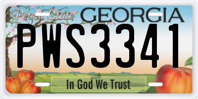 GA license plate PWS3341
