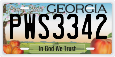 GA license plate PWS3342