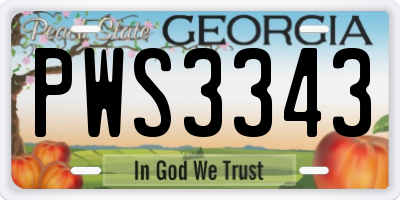 GA license plate PWS3343