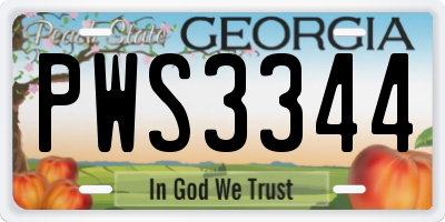 GA license plate PWS3344