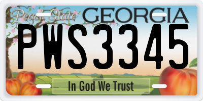 GA license plate PWS3345