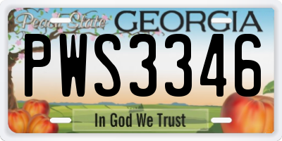 GA license plate PWS3346
