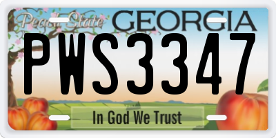 GA license plate PWS3347