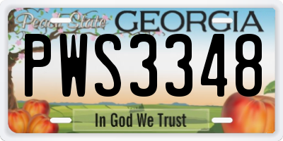 GA license plate PWS3348