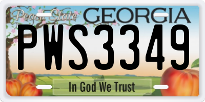 GA license plate PWS3349