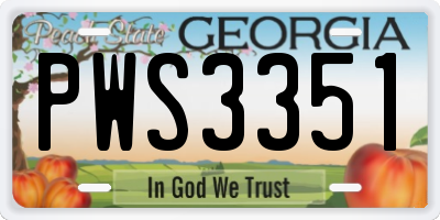 GA license plate PWS3351