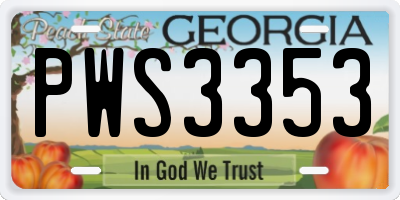 GA license plate PWS3353