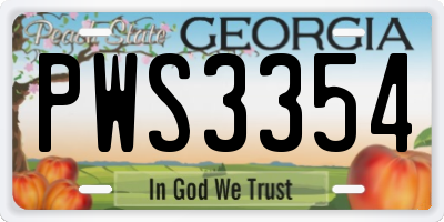 GA license plate PWS3354