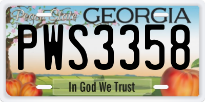 GA license plate PWS3358