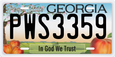 GA license plate PWS3359