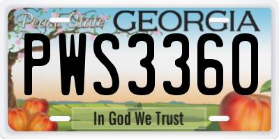 GA license plate PWS3360