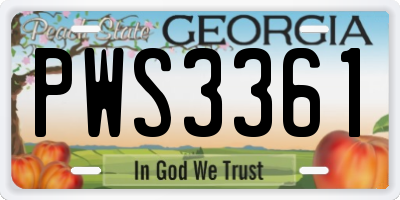 GA license plate PWS3361