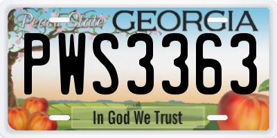 GA license plate PWS3363