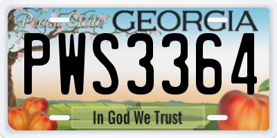 GA license plate PWS3364