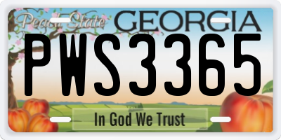 GA license plate PWS3365