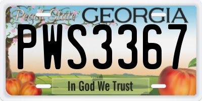GA license plate PWS3367