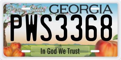 GA license plate PWS3368