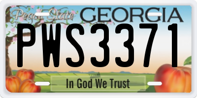 GA license plate PWS3371