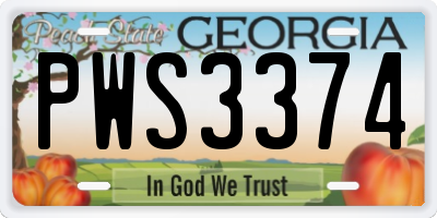GA license plate PWS3374