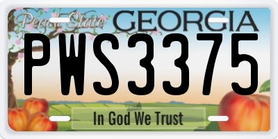GA license plate PWS3375