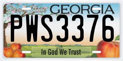 GA license plate PWS3376