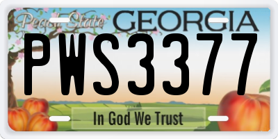 GA license plate PWS3377