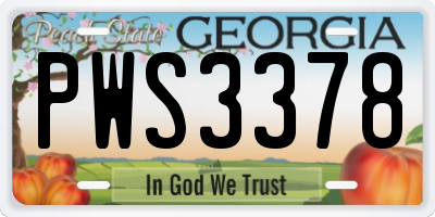 GA license plate PWS3378