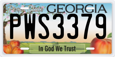 GA license plate PWS3379