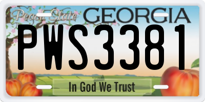 GA license plate PWS3381