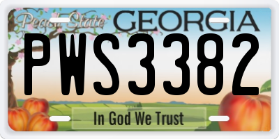 GA license plate PWS3382