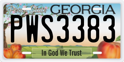 GA license plate PWS3383