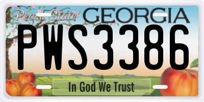GA license plate PWS3386