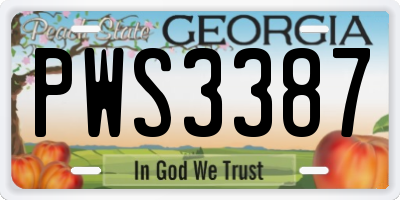 GA license plate PWS3387