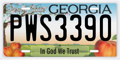 GA license plate PWS3390