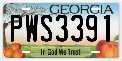 GA license plate PWS3391