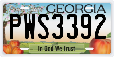 GA license plate PWS3392