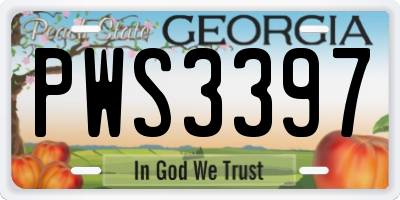 GA license plate PWS3397