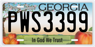 GA license plate PWS3399