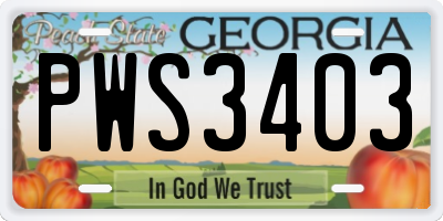 GA license plate PWS3403