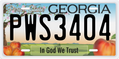GA license plate PWS3404