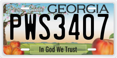 GA license plate PWS3407