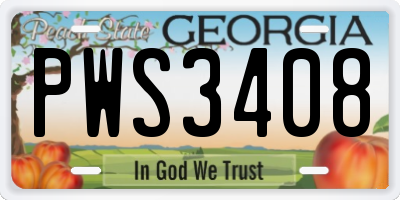 GA license plate PWS3408