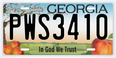 GA license plate PWS3410