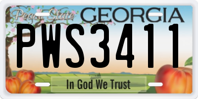 GA license plate PWS3411