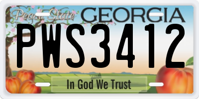 GA license plate PWS3412