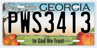GA license plate PWS3413