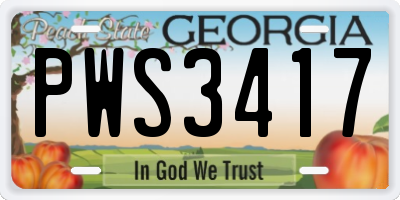 GA license plate PWS3417