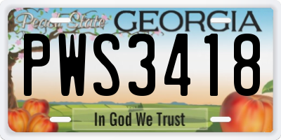 GA license plate PWS3418